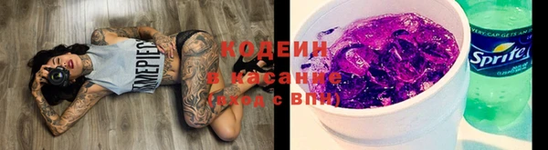 индика Усмань