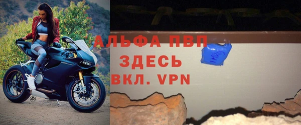 прущие грибы Усолье-Сибирское