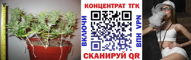 Дистиллят ТГК THC oil Камызяк