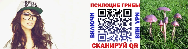 Галлюциногенные грибы Psilocybe  закладки  Камызяк 